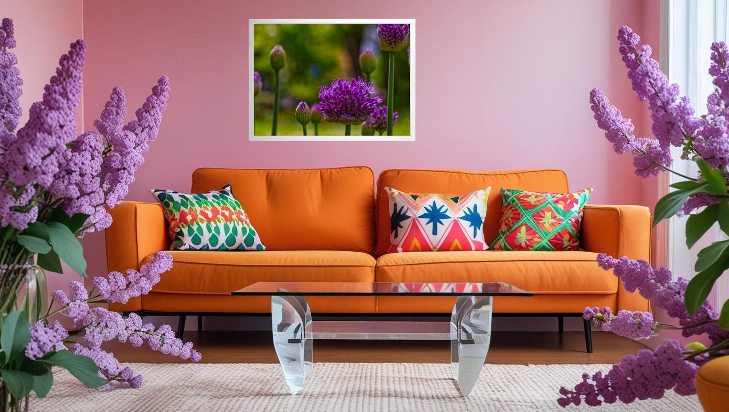 Allium Blüte