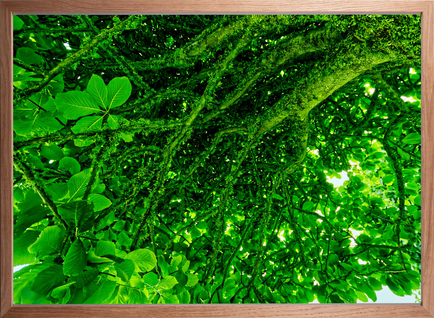 Unter dem Baum