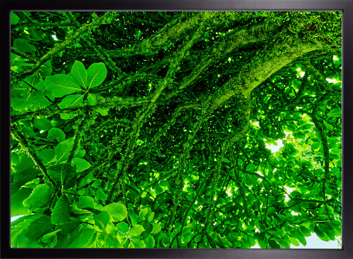 Unter dem Baum