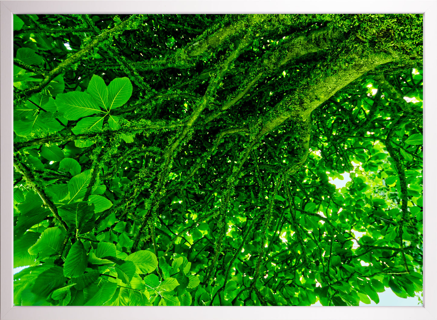 Unter dem Baum
