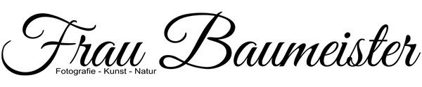 Frau Baumeister