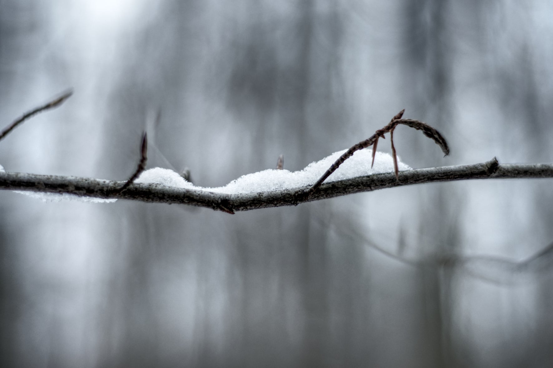 Leichtigkeit des Winters