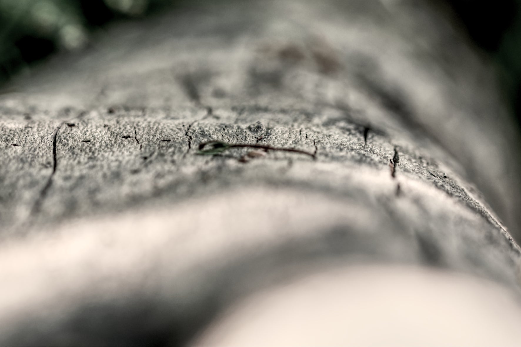 Linie ins Unbekannte