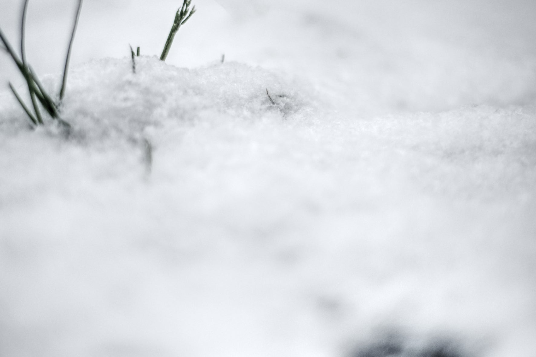 Wohnzimmer Bilder Ideen, Kunst Bilder kaufen, Bilder für, graue Bilder
