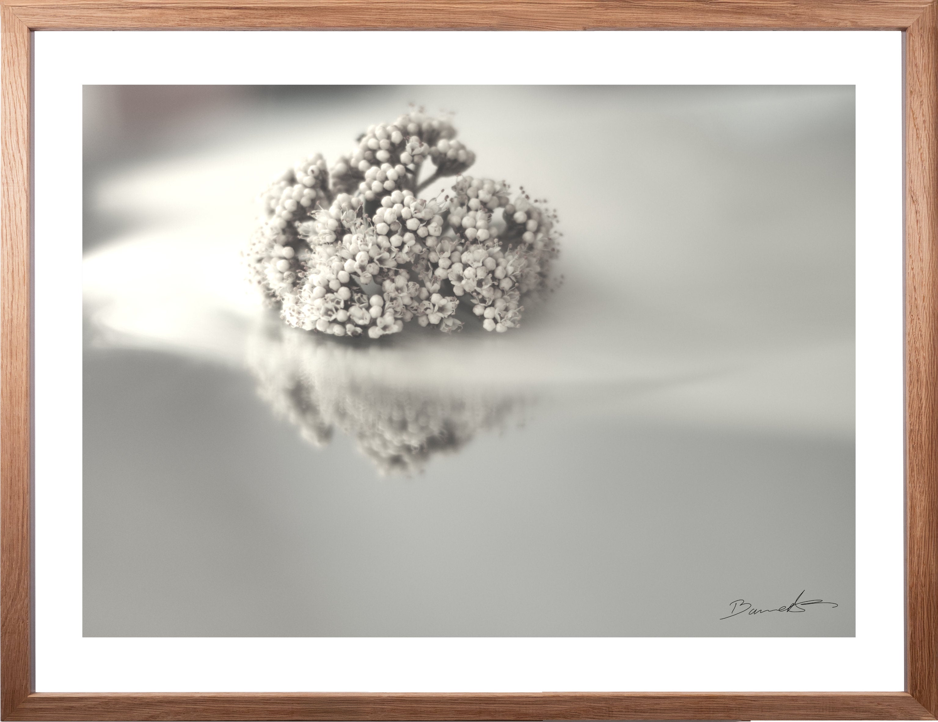Wohnzimmer Bilder Ideen, Kunst Bilder kaufen, Bilder für, graue Bilder