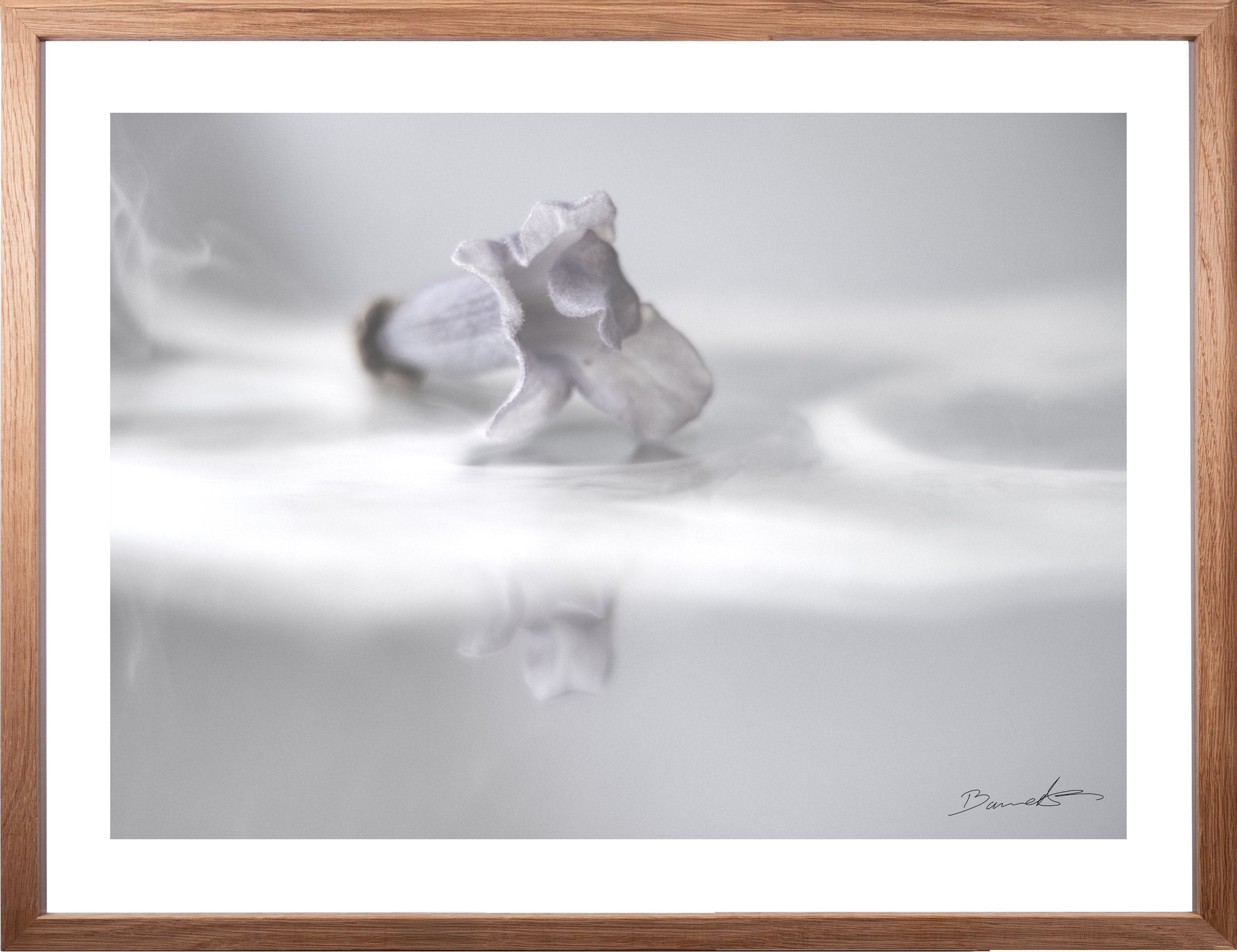 Wohnzimmer Bilder Ideen, Kunst Bilder kaufen, Bilder für, graue Bilder