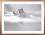Wohnzimmer Bilder Ideen, Kunst Bilder kaufen, Bilder für, graue Bilder