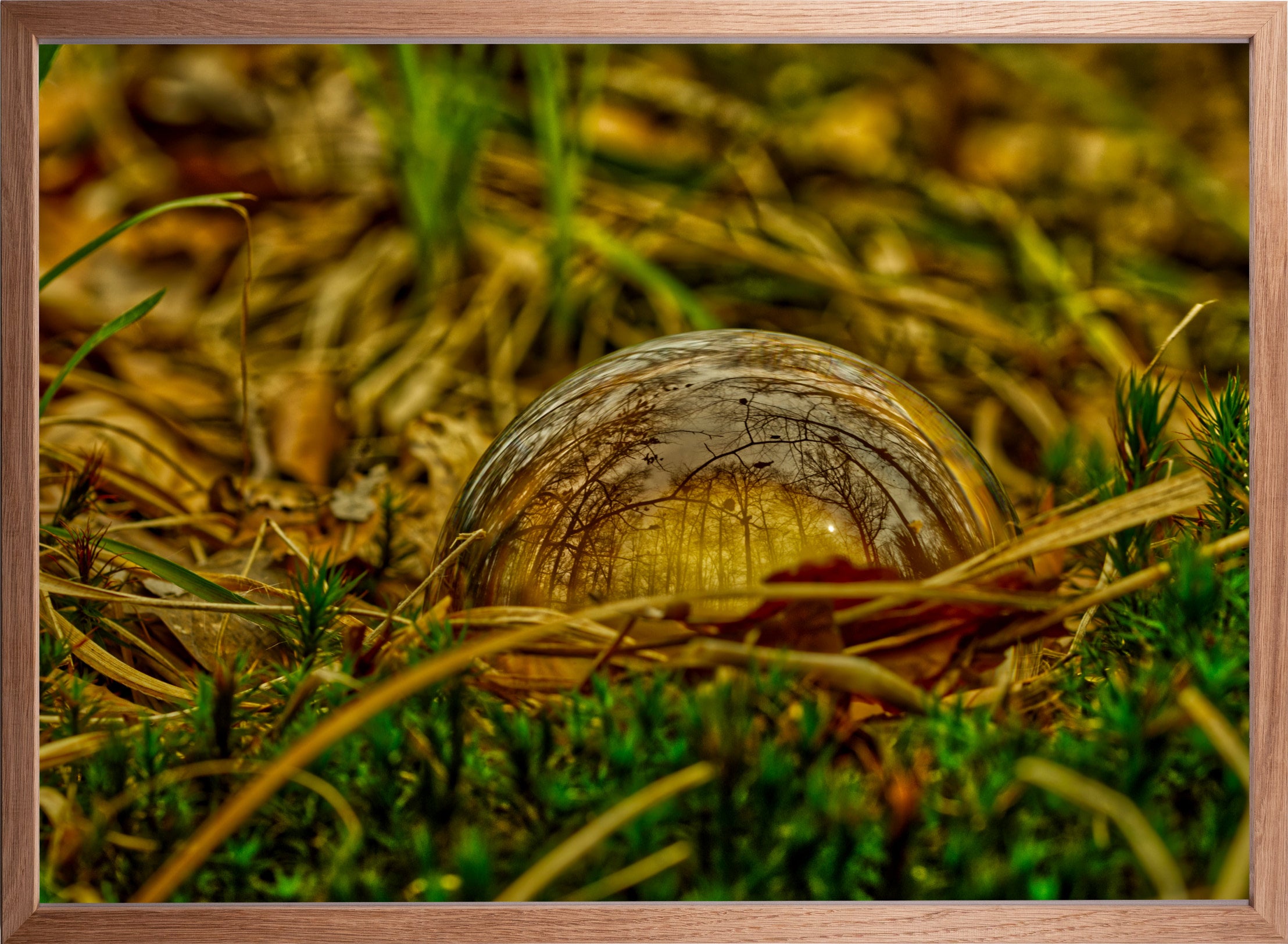 Die Welt in einer Kugel