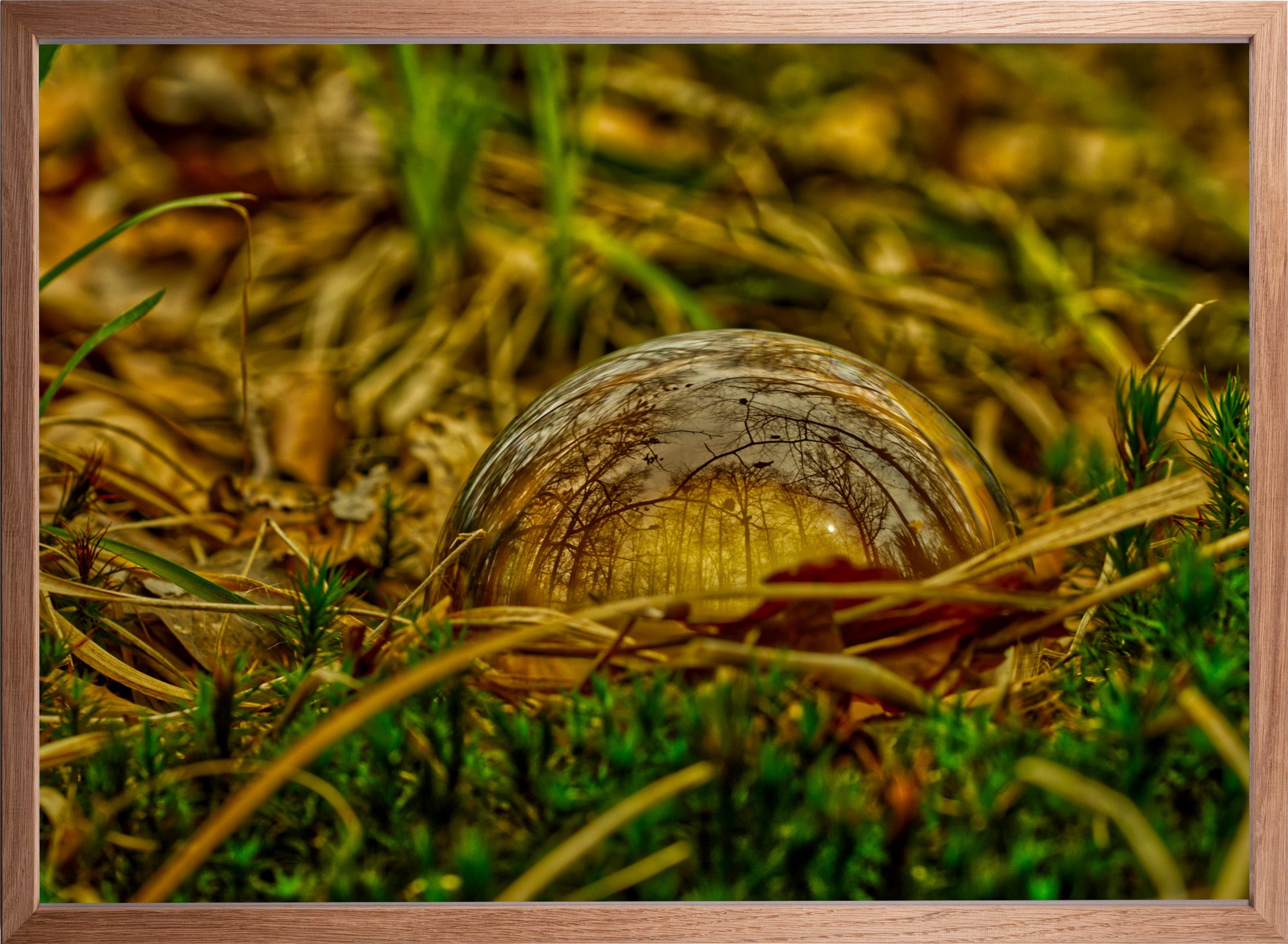 Die Welt in einer Kugel