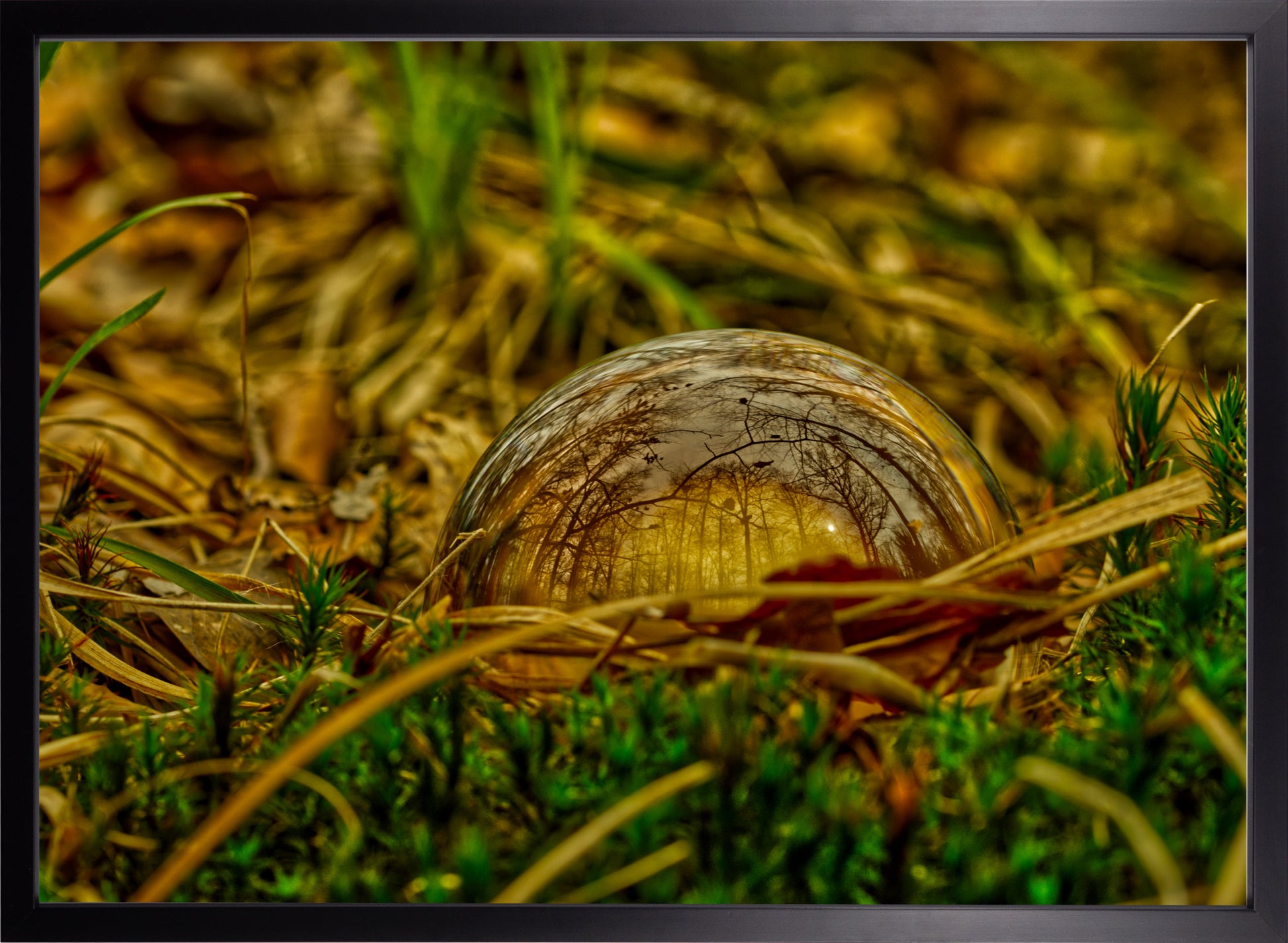 Die Welt in einer Kugel