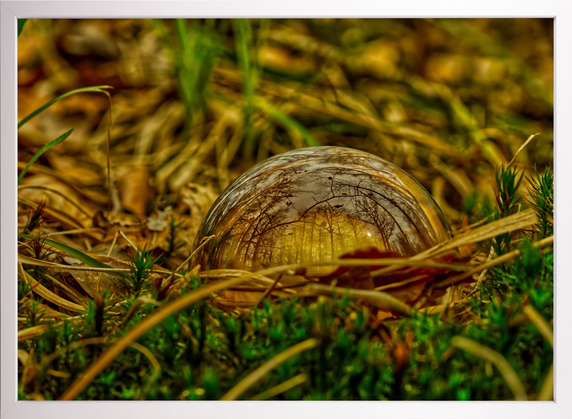 Die Welt in einer Kugel