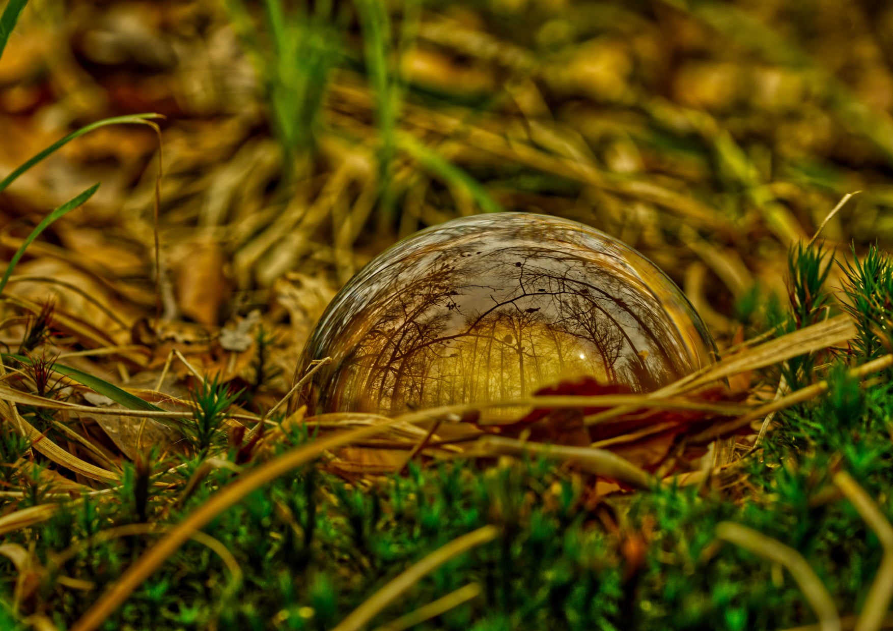 Die Welt in einer Kugel