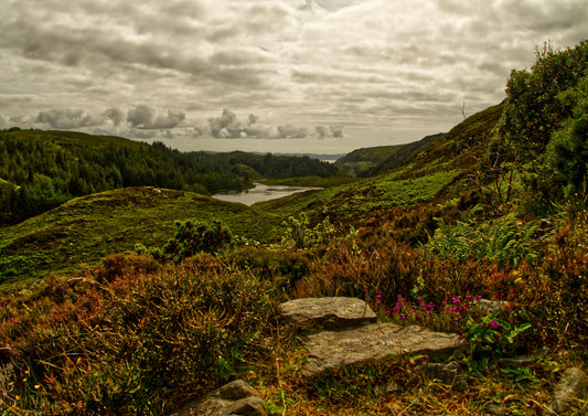 Schottland