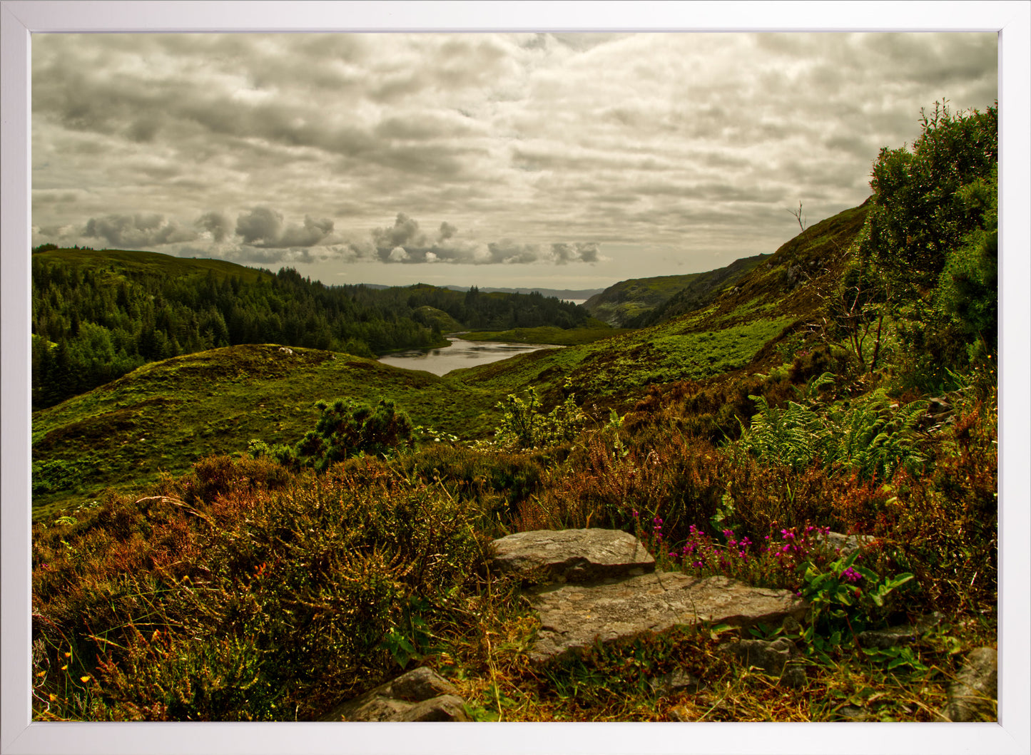 Schottland