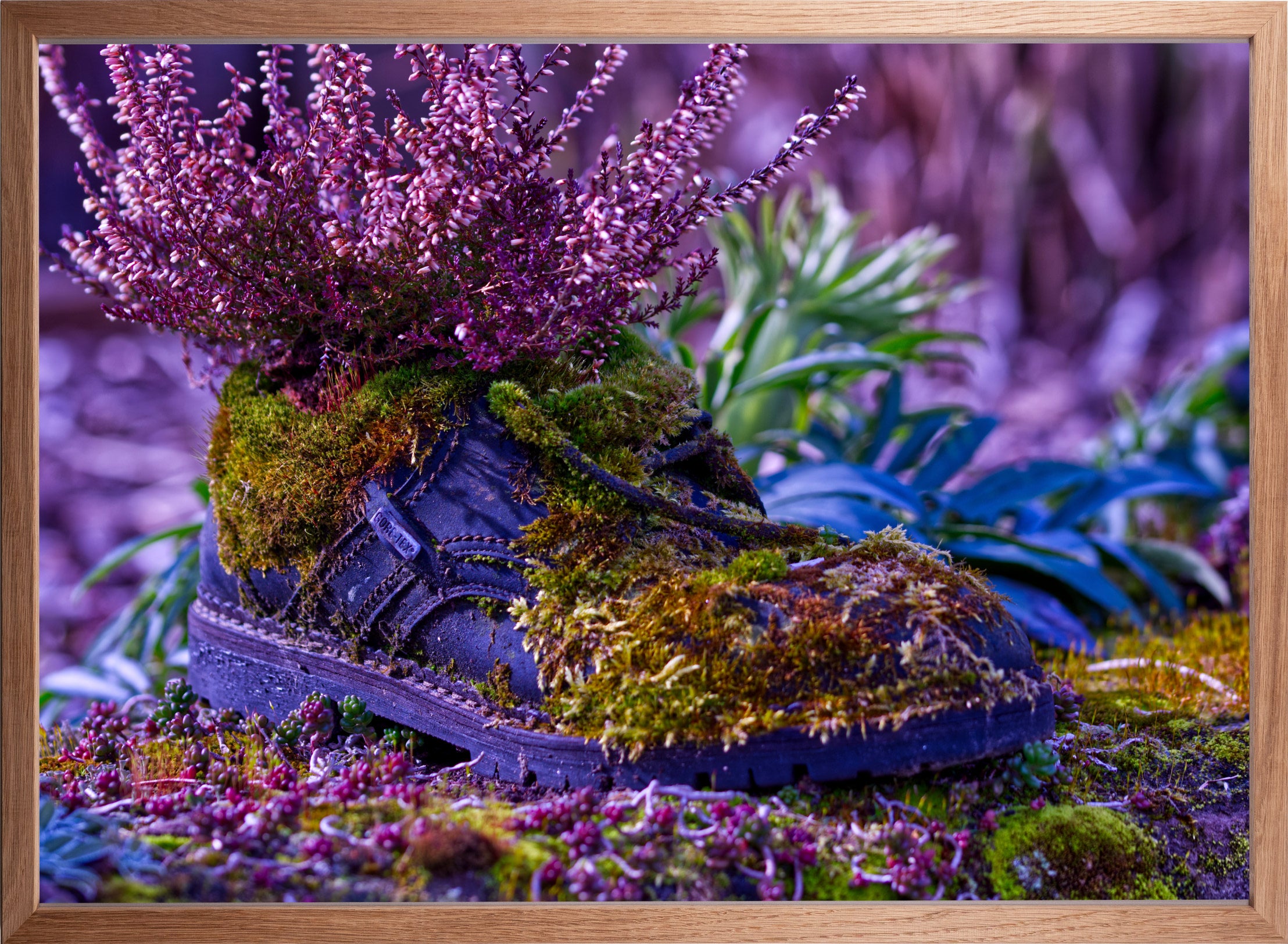 Wenn ein Schuh der Natur überlassen wird