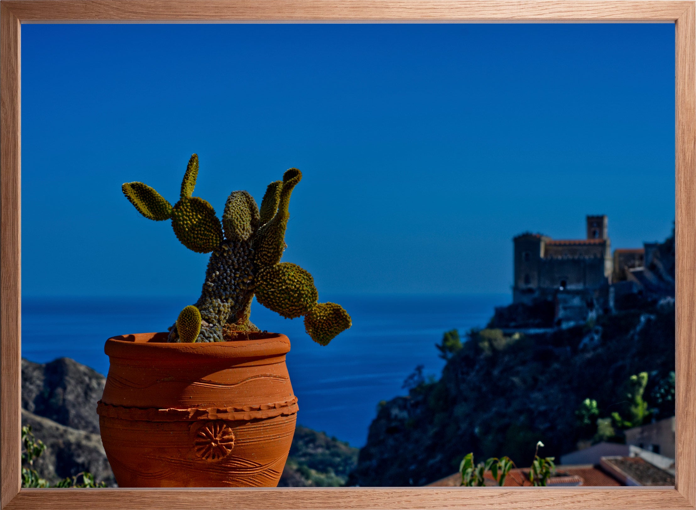 Sizilianischer Kaktus