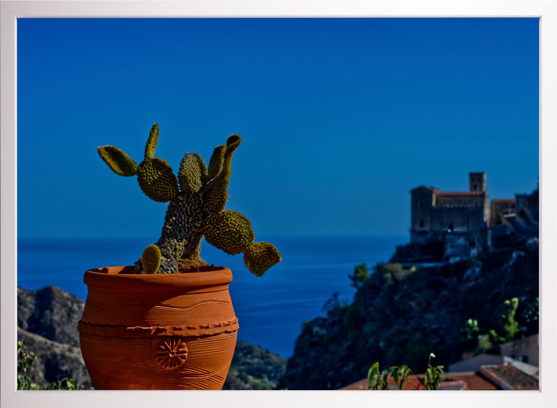 Sizilianischer Kaktus