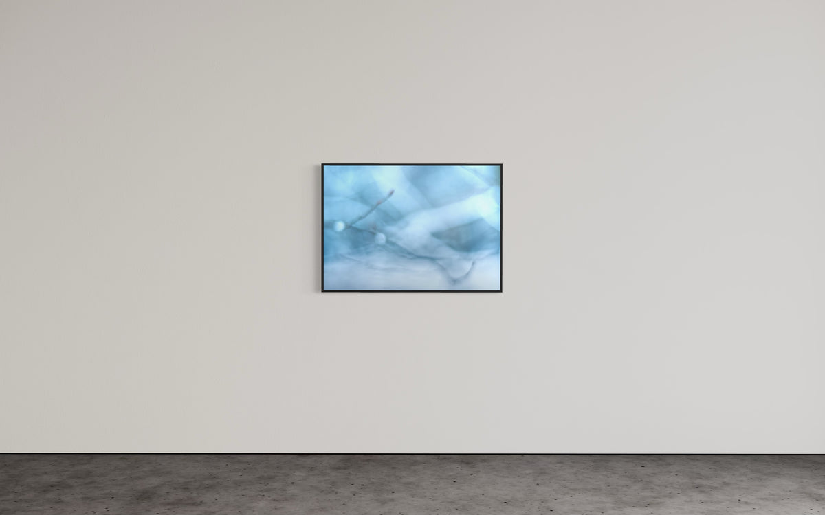 Abstrakte Makrofotografie eines Winterzweigs