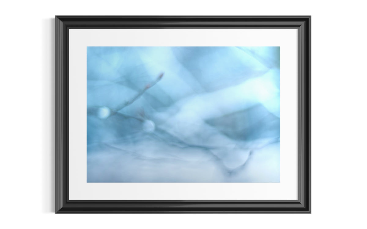 Abstrakte Makrofotografie eines Winterzweigs