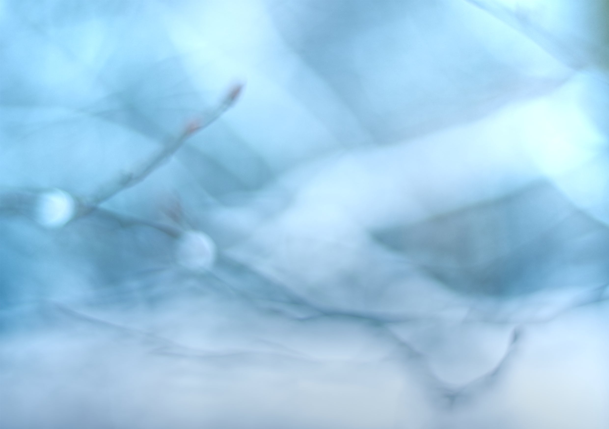 Fine Art Print einer abstrakten, unscharfen Makrofotografie eines Zweiges im Winter, helle Farben lassen eine eisige Winterstimmung entstehen