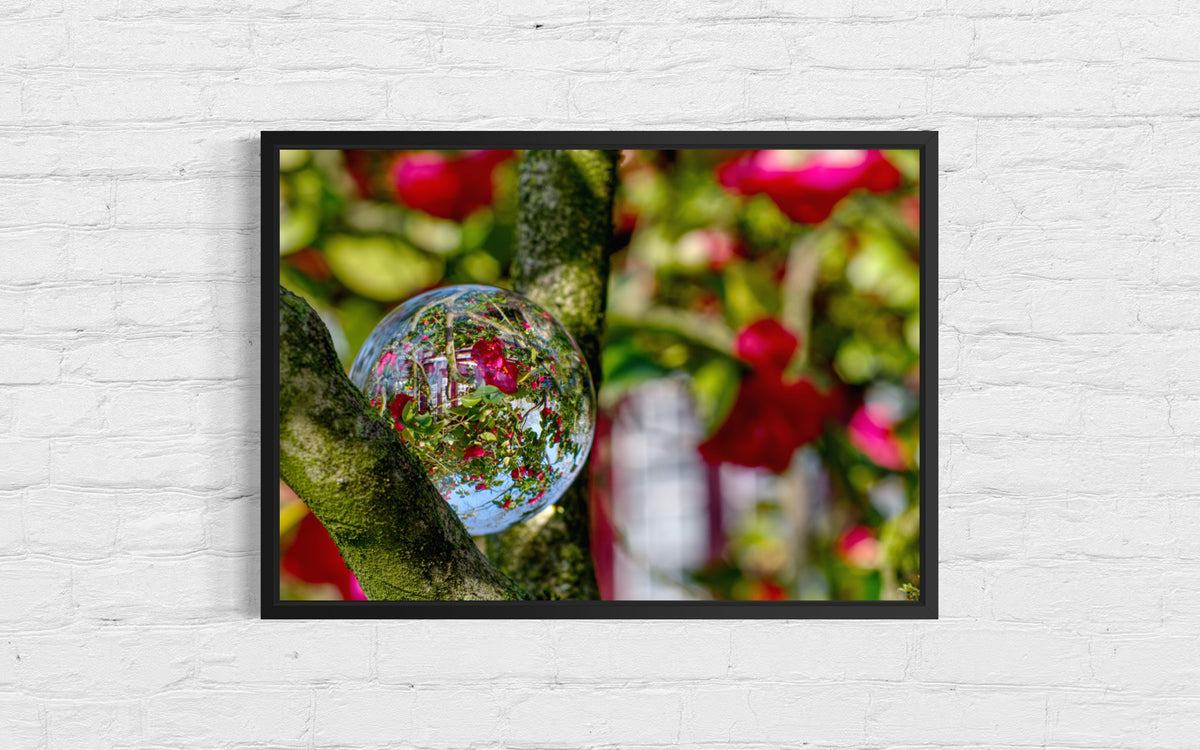 Glaskugel Fotografie von wundervollen Kirschblüten