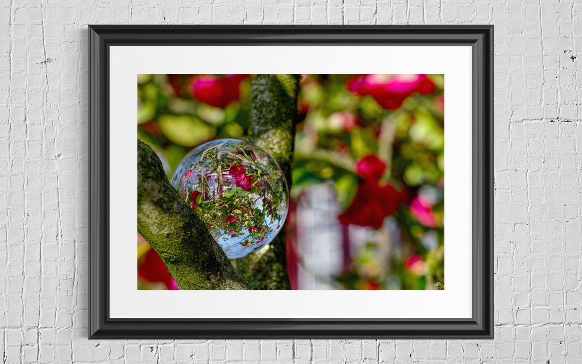 Glaskugel Fotografie von wundervollen Kirschblüten