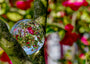 Fine Art Print einer Glaskugel Fotografie im japanischen Garten unter einer Kirschblüte, im Hintergrund ein japanisches Haus und ein grün-rotes weichfließendes Bokeh