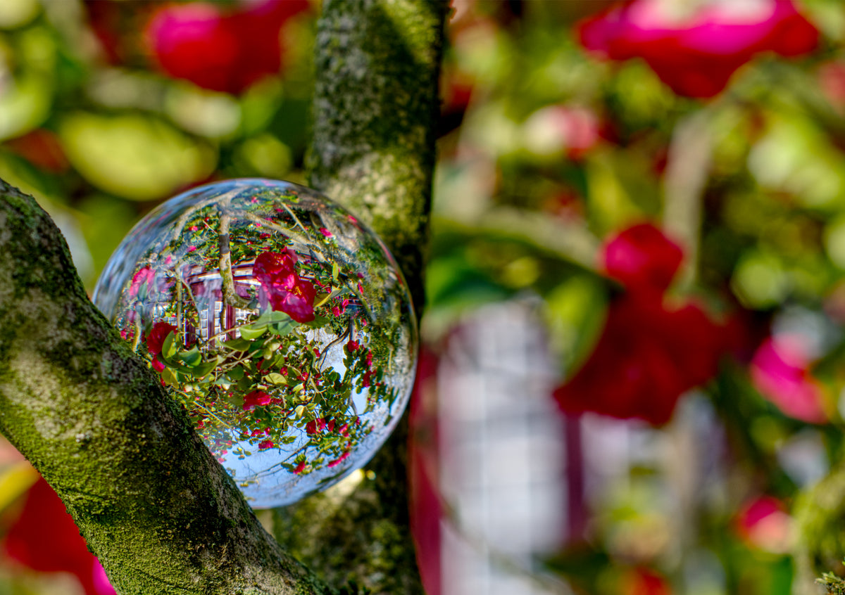 Fine Art Print einer Glaskugel Fotografie im japanischen Garten unter einer Kirschblüte, im Hintergrund ein japanisches Haus und ein grün-rotes weichfließendes Bokeh
