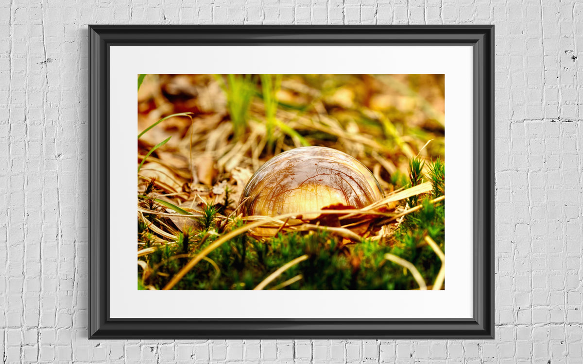 Glaskugel Fotografie im herbstlichen Waldboden
