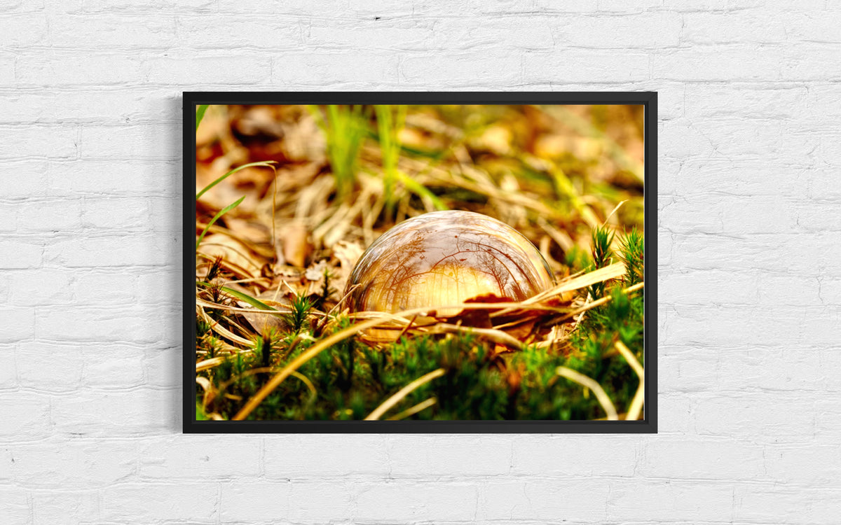 Glaskugel Fotografie im herbstlichen Waldboden