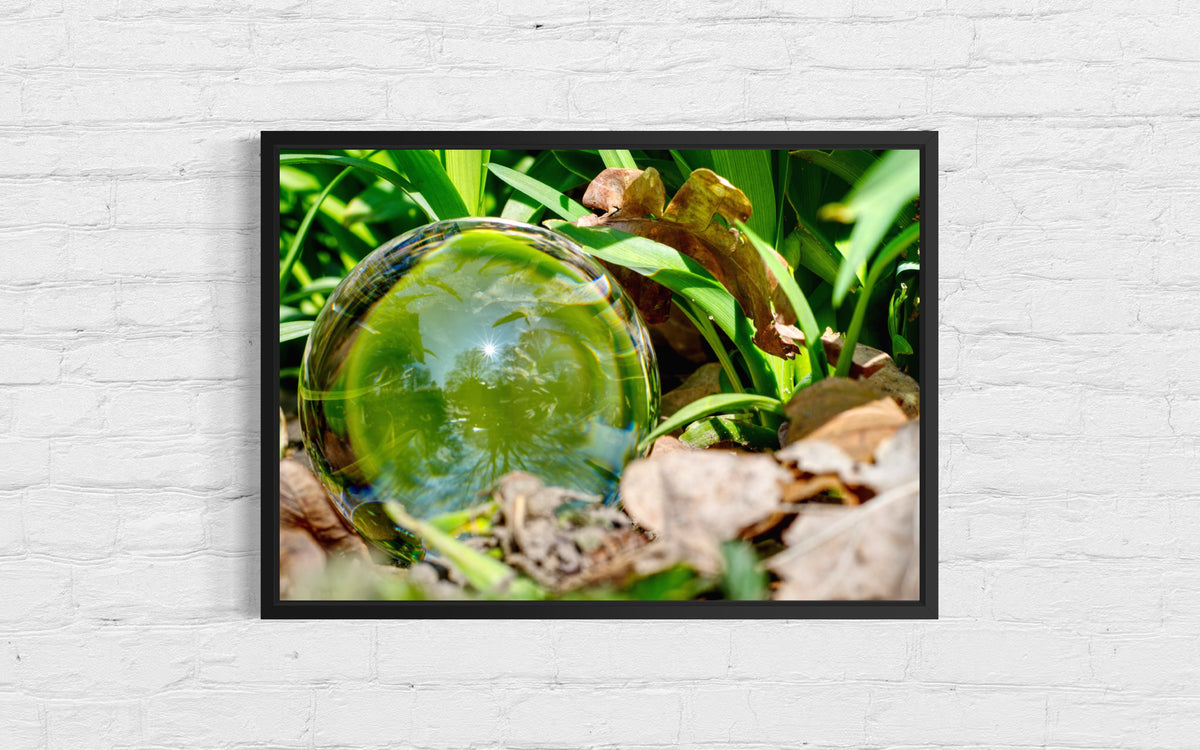 Glaskugel Fotografie im Laub