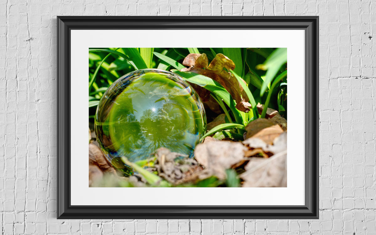 Glaskugel Fotografie im Laub