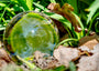 Fine Art Print einer Lensball, Glaskugel Aufnahme im Laub mit grünen, breiten Grashalmen und eines Sonnensterns, der sich in der Kugel spiegelt