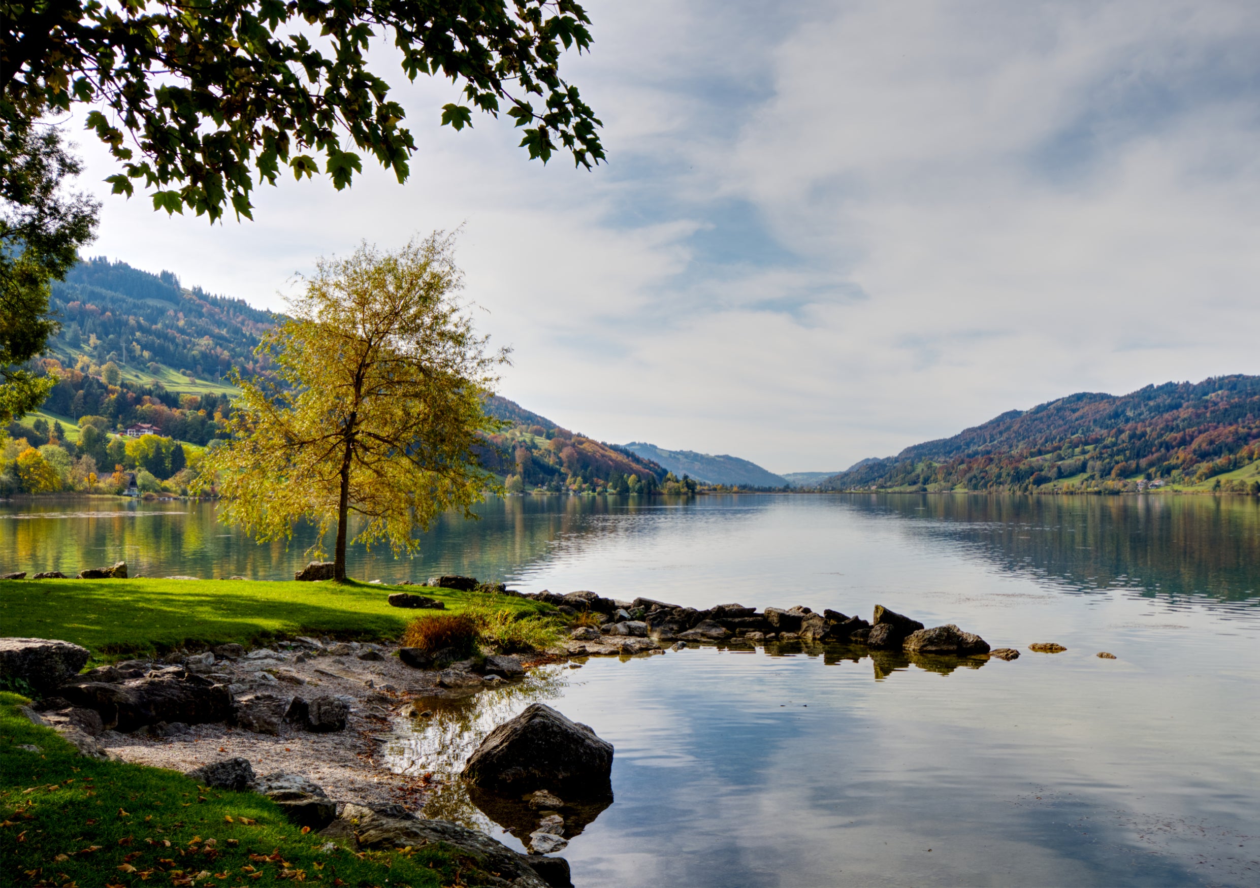 Fine Art Print des grossen Alpsees im Allgäu im Herbst mit goldgelben Bäumen und einer wunderschönen Spiegelung des Ufers