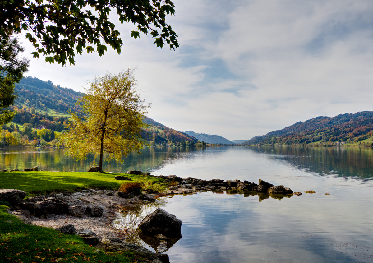 Fine Art Print des grossen Alpsees im Allgäu im Herbst mit goldgelben Bäumen und einer wunderschönen Spiegelung des Ufers