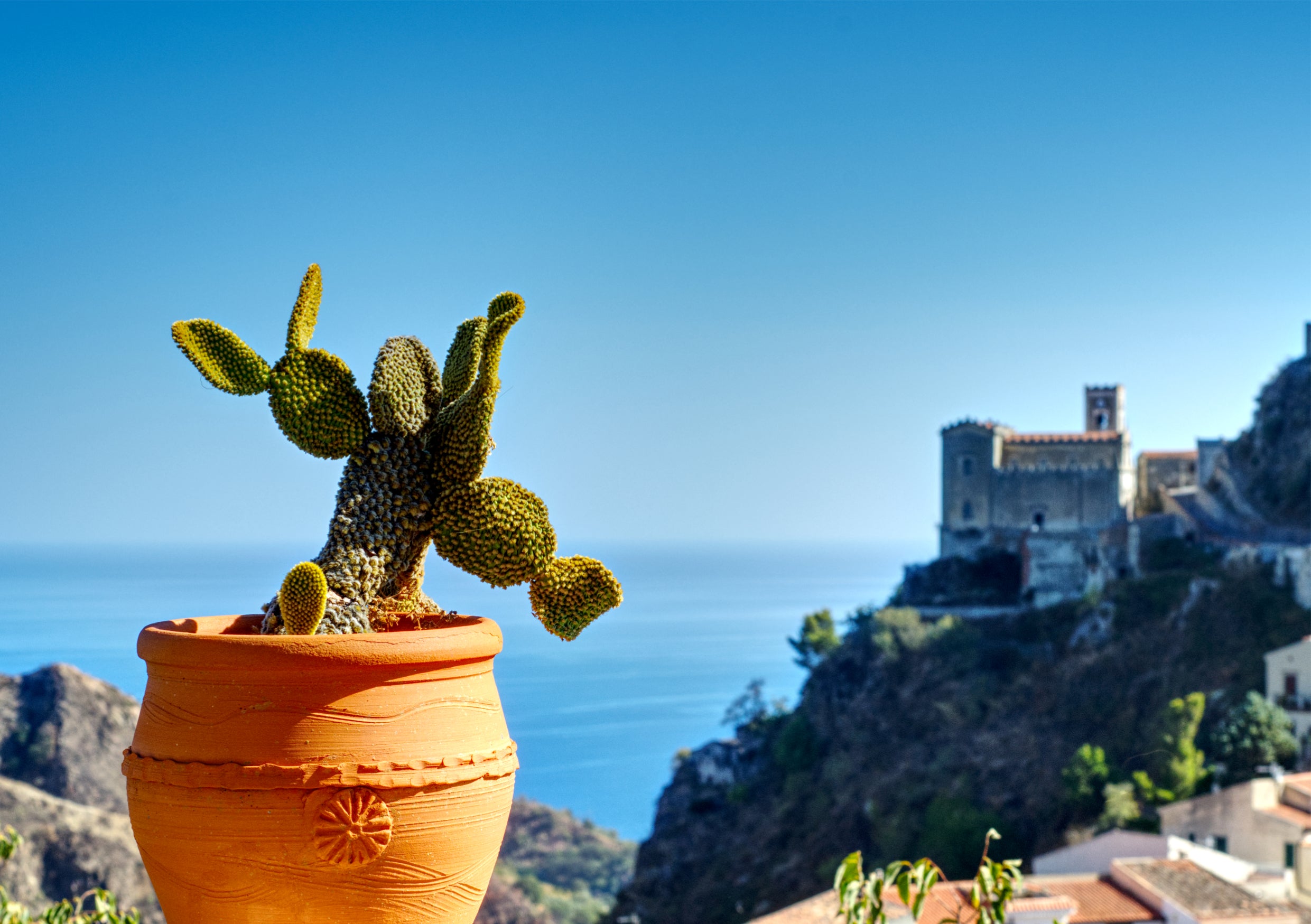 Fine Art Print eines Katkus in einem Terrakotta Topf, im Hintergrund Gebäude der Stadt Savoca auf Sizilien und das Ionische Meer mit blauem Himmel