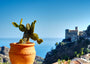 Fine Art Print eines Katkus in einem Terrakotta Topf, im Hintergrund Gebäude der Stadt Savoca auf Sizilien und das Ionische Meer mit blauem Himmel