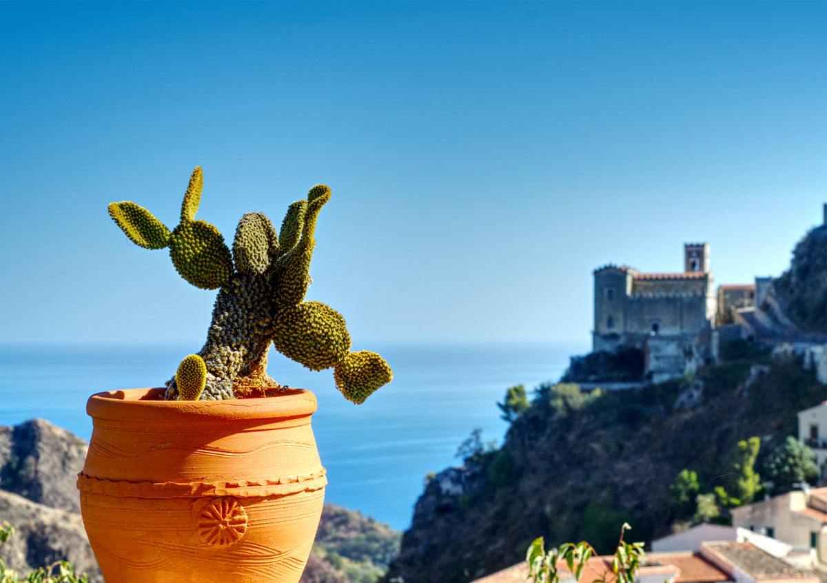 Fine Art Print eines Katkus in einem Terrakotta Topf, im Hintergrund Gebäude der Stadt Savoca auf Sizilien und das Ionische Meer mit blauem Himmel