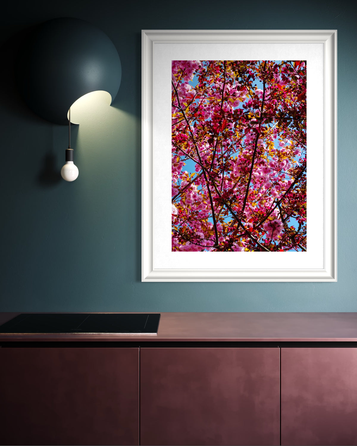 Kirschblüte im Frühling