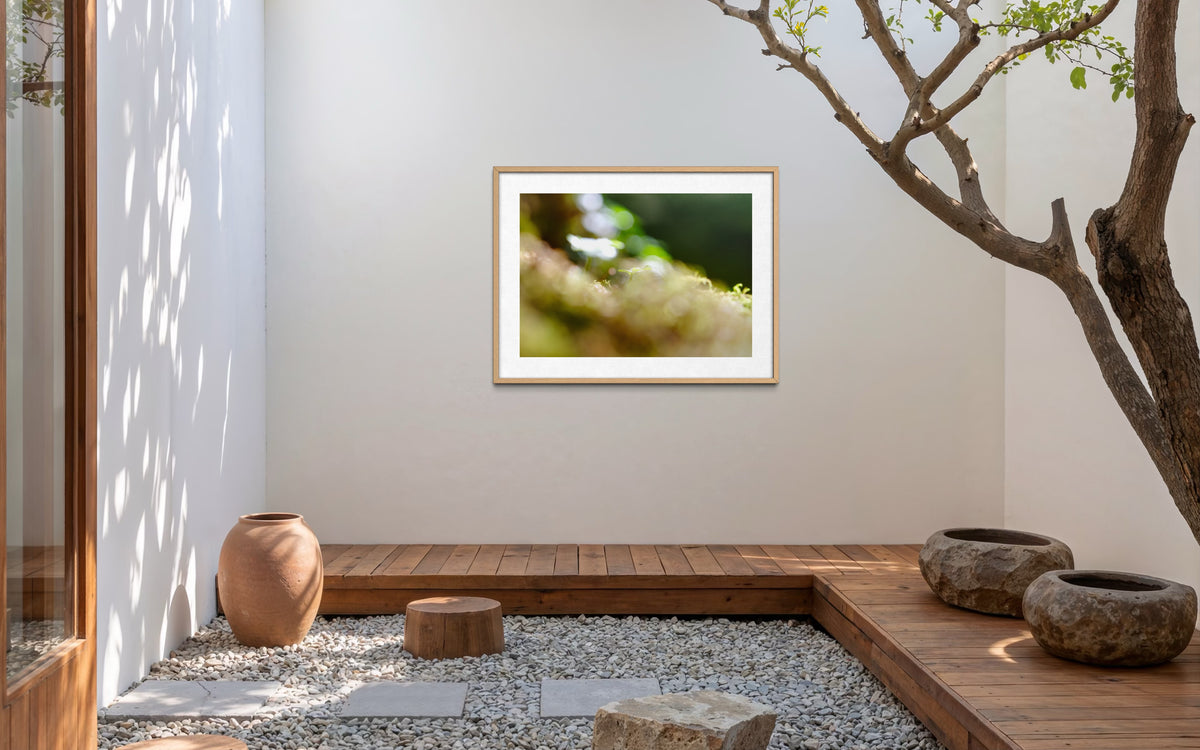 Makroaufnahme eines Keimling mit wunderschönem Bokeh