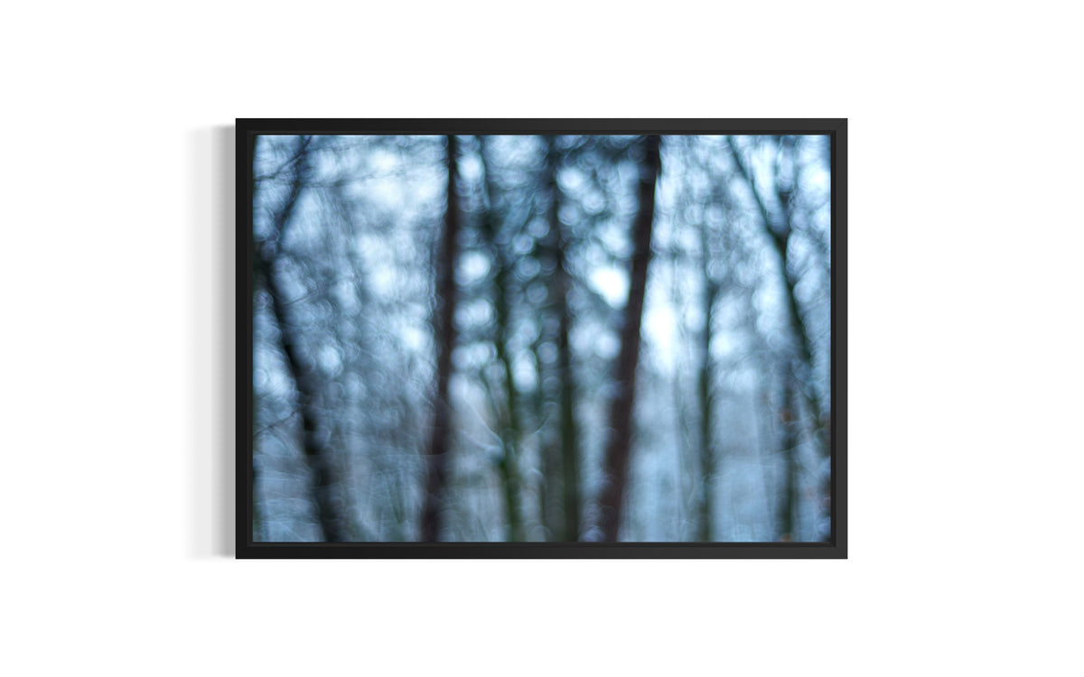 Mystischer Winterwald mit magischem Bokeh