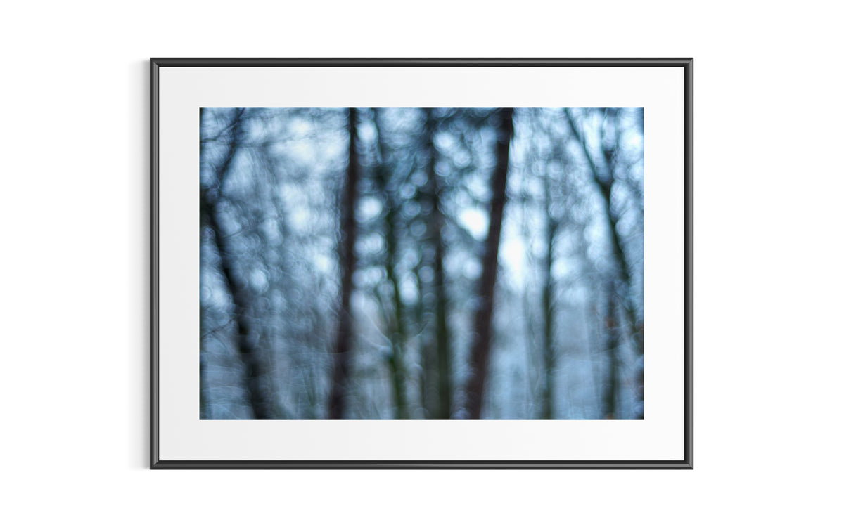 Mystischer Winterwald mit magischem Bokeh