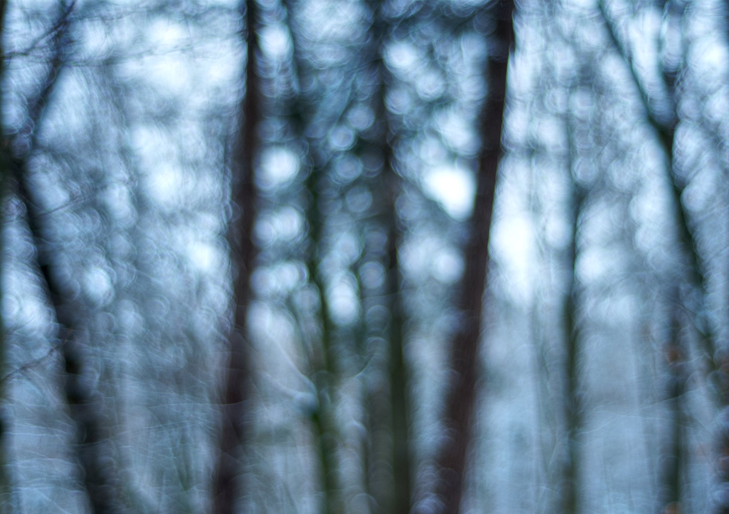 Fine Art Print eines mystischen Winterwaldes, der in Unschärfe verschwindet und in weiß, grauen Tönen ein winterliches Bokeh zaubert