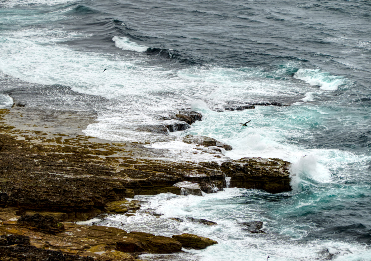 Fine Art Print der Klippen auf den Orkney Inseln in Schottland von oben, die Brandung überspült die Klippen