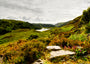 Fine Art Print der Highlands in Schottland mit Blick auf Loch Duart More entlang des North Coast 500