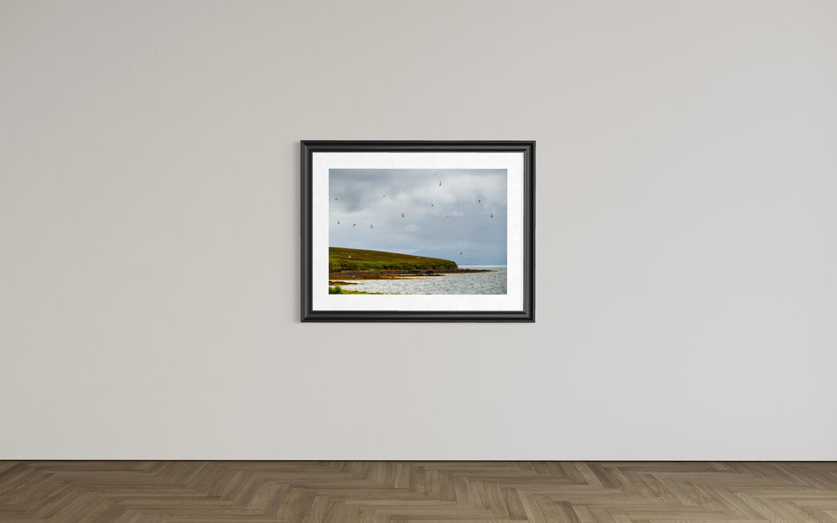 Auf Schottlands Orkney Inseln an der Küste