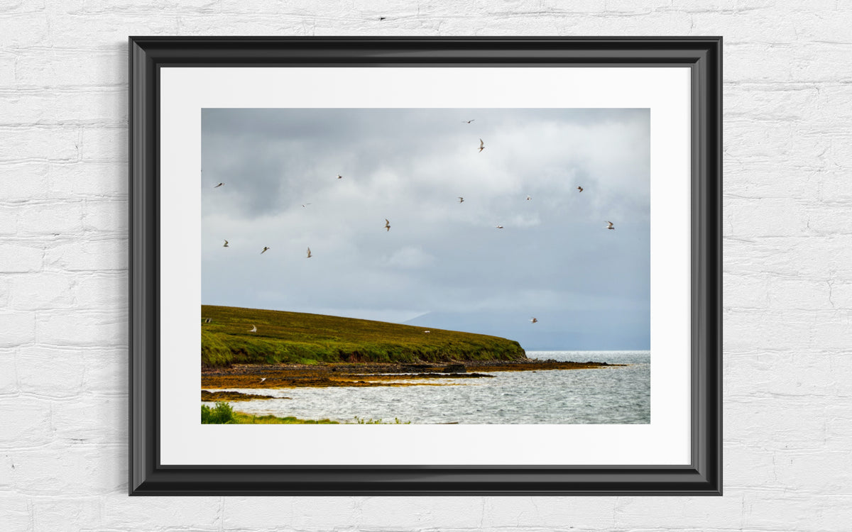 Auf Schottlands Orkney Inseln an der Küste