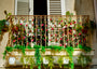 Fine Art Print eines Balkons in Taormina auf Sizilien, es hängen Blumen in Töpfen vom Balkon und einige Kakteen stehen dort in bunten Töpfen auf dem Boden