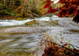 Fine Art Print einer Langzeitbelichtung eines Wasserfalls in der Wutachschlucht im Schwarzwald mit Blick unter einem Ast hervor