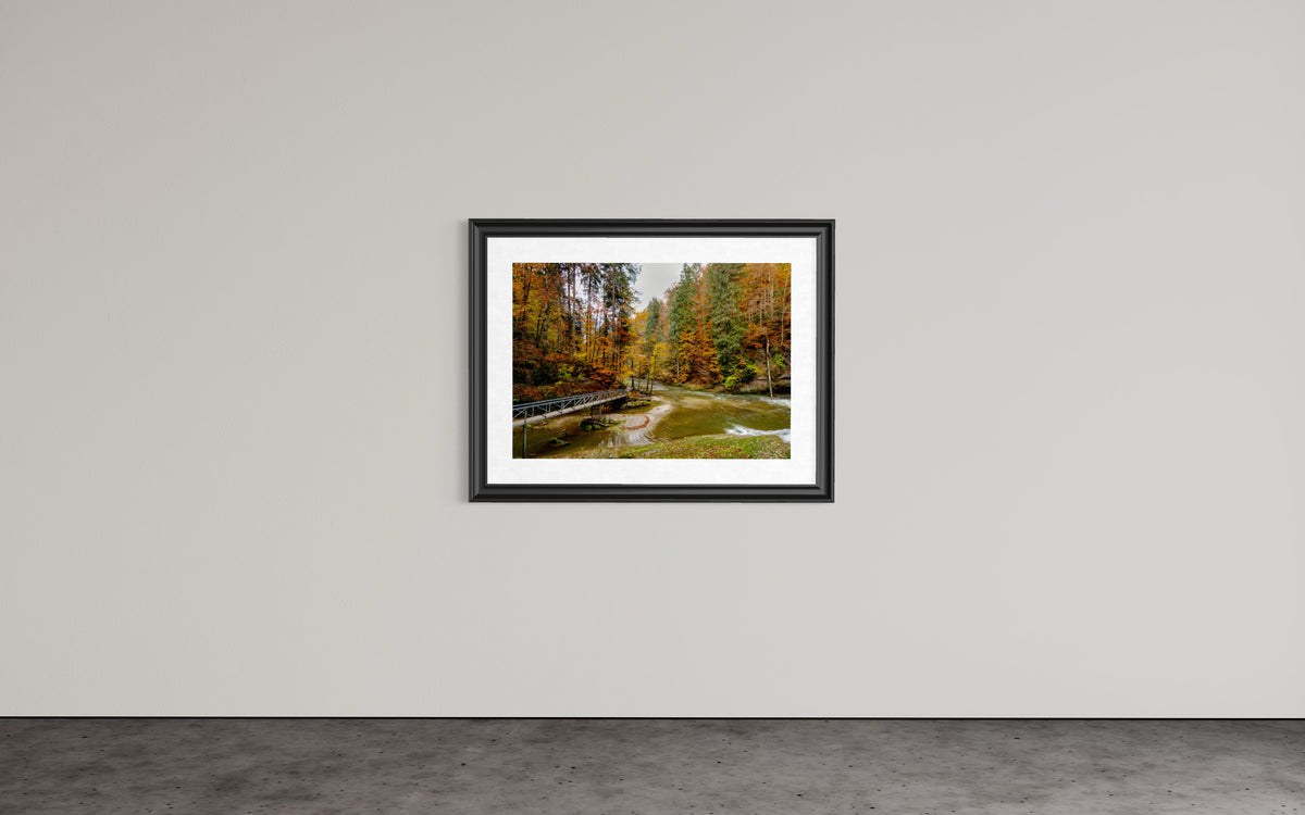 Die Wutachschlucht im Herbst